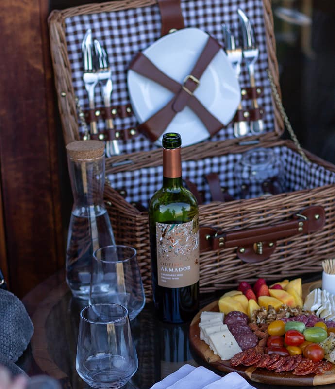 Picnic & Wine Experience Descuentos Especiales Día del Vino