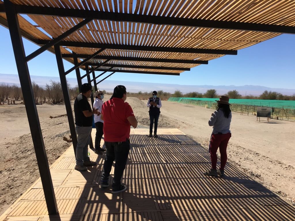 visitantes recorriendo viña canchones de vino del desierto