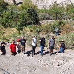 Recorrido guiado por viñedos valle de codpa