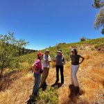 Visitas guiadas en viñas valle del itata