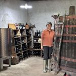 Degustaciones y recorridos guiados por viñas en valle del itata