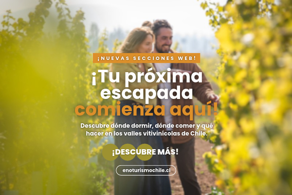 Enoturismo en Chile: descubre mucho más que vino