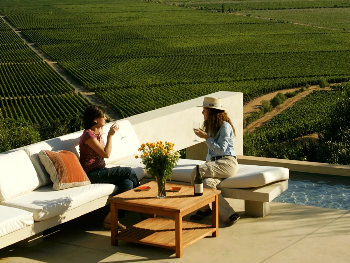 Vista panorámica viñas del Valle de Colchagua