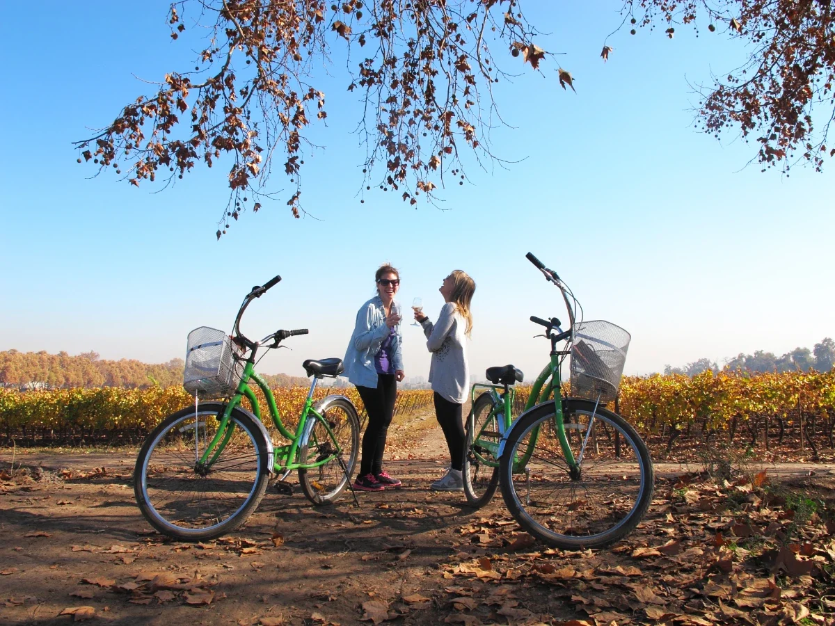 Paseo en bicicleta en Viña Cousiño Macul, Valle del Maipo