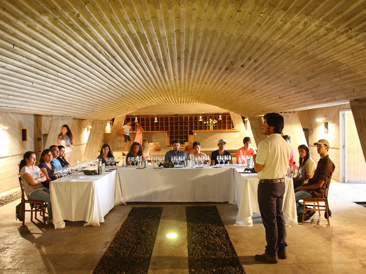 Degustación de vinos en Viña Perez Cruz
